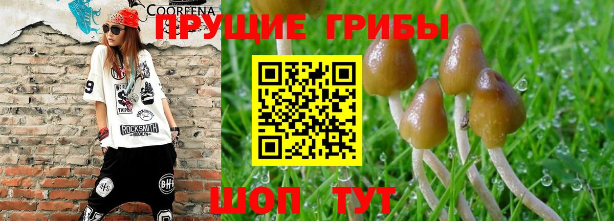 Рассказово  Псилоцибиновые грибы прущие грибы  Вход с VPN 