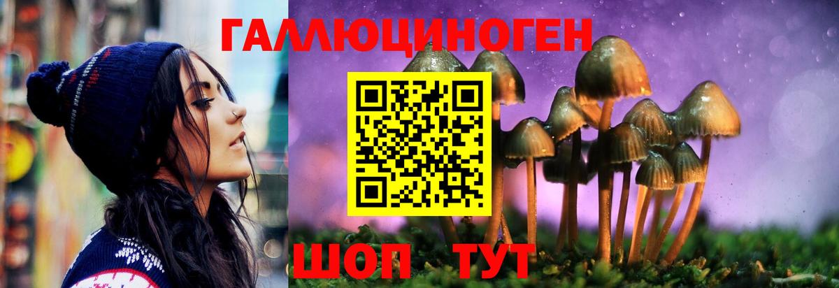 Псилоцибиновые грибы прущие грибы Рассказово